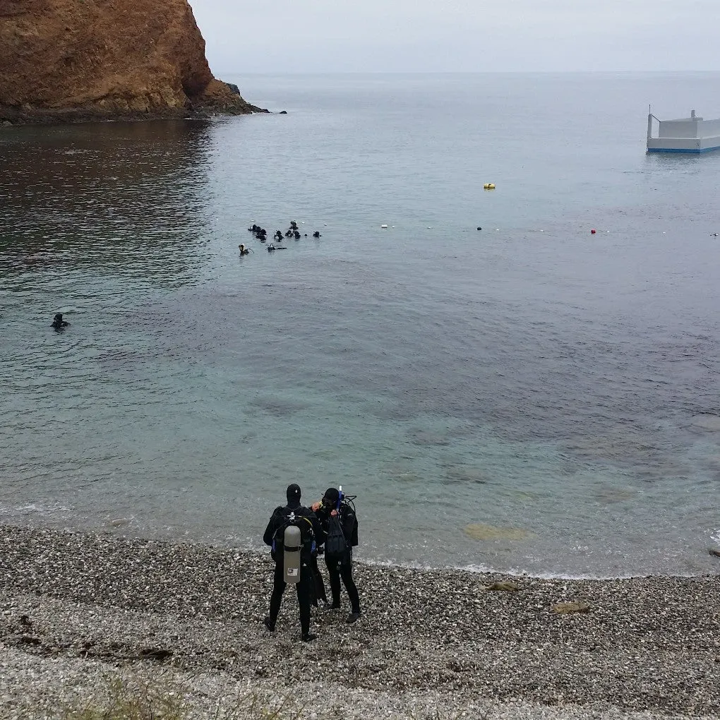 Additional training dive for Certified diver (daytime)